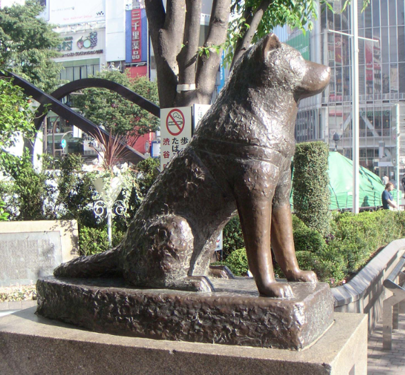 Hachiko una Historia de lealtad