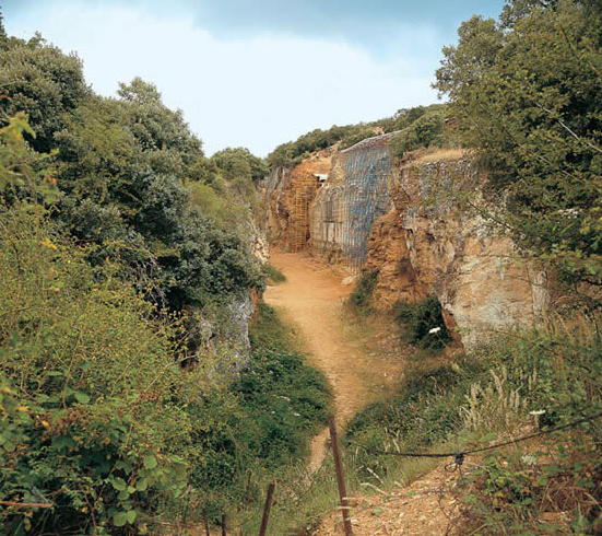 8 Julio 1994 en Atapuerca se descubren fragmentos del Homo Antecessor